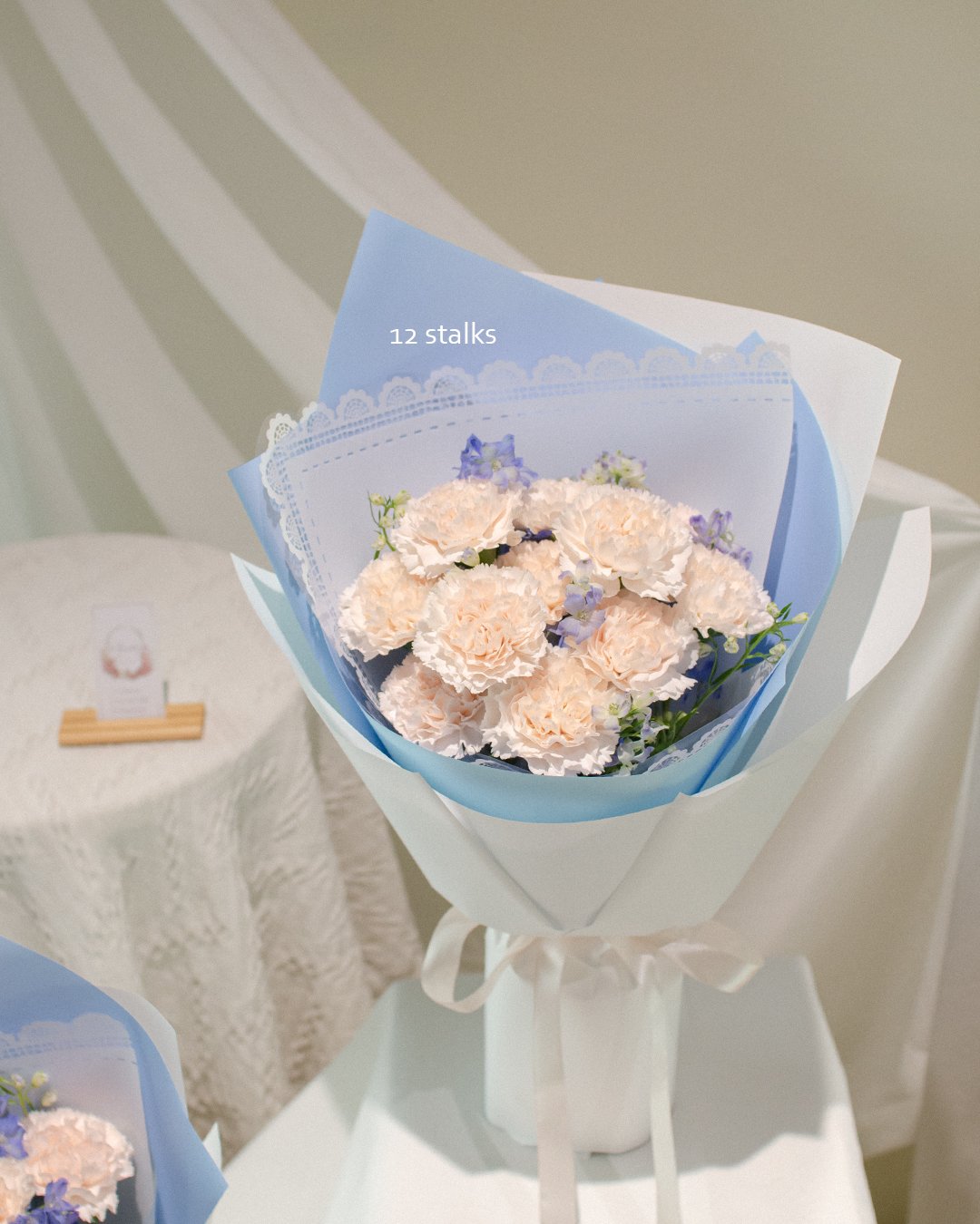 Carin (12)