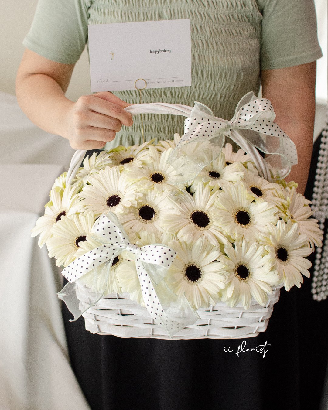 Dotti Gerbera
